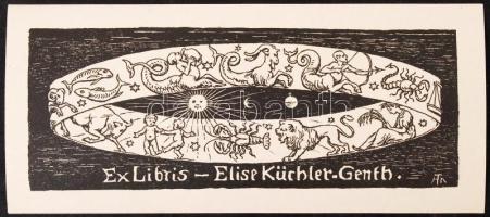 Hans Thoma (1839-1924): Ex libris. Klisé nyomat. Dúcon jelzett / wood engraving