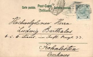 'Schwere Wahl' Serie 28. Kunstverlag Rafael Neuber, Wien; Art Nouveau litho s: E. Döcker