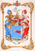 Védett! 1880 Címeres nemesi kiváltságlevél Hérics Tóth János soproni törvényszéki elnöknek, törvénye...