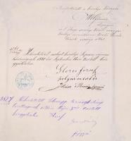 Védett! 1880 Címeres nemesi kiváltságlevél Hérics Tóth János soproni törvényszéki elnöknek, törvénye...