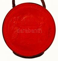 Védett! 1880 Címeres nemesi kiváltságlevél Hérics Tóth János soproni törvényszéki elnöknek, törvénye...