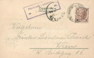 1899 Radhost, Pohorska Jednota / alpine houses, floral litho  (EK)