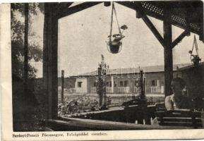 Pócsmegyer, Kern Márton Surányi Penziója és csárdája (EB)