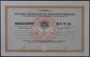 Budapest 1927. "Magyar Tógazdaságok Részvénytársaság" részvénye 30P-ről, szárazpecséttel és szelvényekkel T:I-