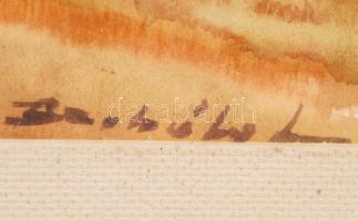 Borbély L. jelzéssel: Balatonpart. Akvarell. 40x60 cm Üvegezett keretben