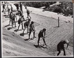 cca 1950-1960 Gát- és útépítő fiatalok, 8x11 cm