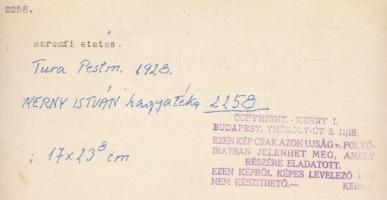 cca 1920-1930 Kerny István (1879-1963): Baromfi etetés (Tura), pecséttel jelzett vintage néprajzi fo...