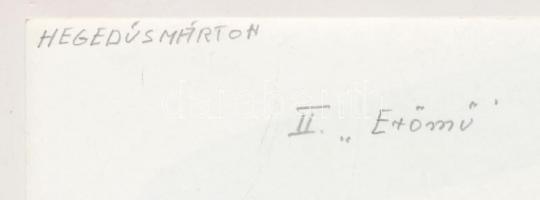 cca 1950-1960 Hegedűs Márton: Erőmű, feliratozott vintage fotó, 24x18 cm