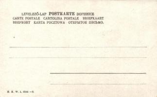 Krampus B.K.W.I. 2586-2. s: Schönpflug (EK)