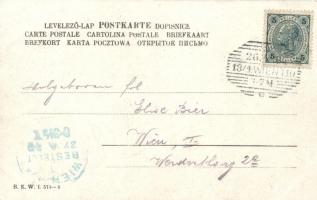 1904 Spiritus und Automobil-Ausstellung Wien / Vienna automobile expo B.K.W.I. 574-6. s: Schönpflug