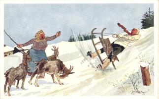 Sleighing B.K.W.I. 560-5. s: Schönpflug