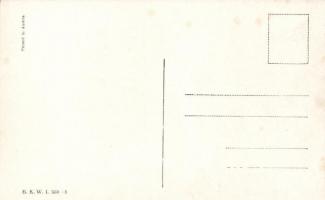 Sleighing B.K.W.I. 560-5. s: Schönpflug