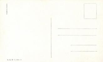 Hunters B.K.W.I. 306-3. s: Schönpflug