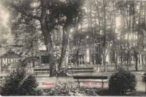 Debrecen, Nagy Erdei részlet, M. Henrik üzlete, Ifj. Gyürky Sándor kiadása