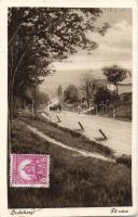 Budakeszi, Fő utca (EK)