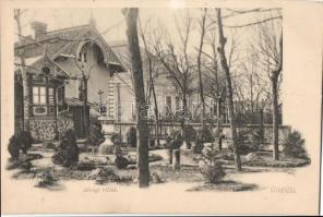 Gödöllő, Alvégi villák, Graf Éliás kiadása