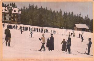 Tátra, Frigyes főherceg és családja, síelők, Feitzinger Ede kiadása No. 14 W / Archduke Friedrich, Duke of Teschen and his family, skiers (ázott / wet damage)