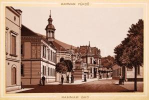 cca 1890 Trencsén-Teplicz leporelló 12 litho képpel. Gansel Lipót, Trencsén. Kiadói, aranyozott egés...