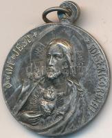 DN "Regina Sacri Scapularis Ora Pro Nobis / O Mi Jesus Misericordia" ezüstözött fém skapuláré érem (26mm) T:2