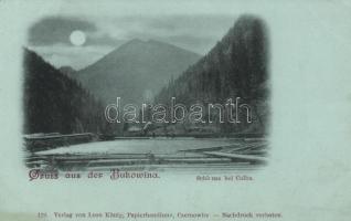 Borvölgy, Kolbu (Bukowina)