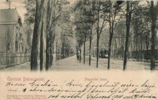 Debrecen, Nagyerdei fasor, vonat, kiadja Pongrácz Géza (b)