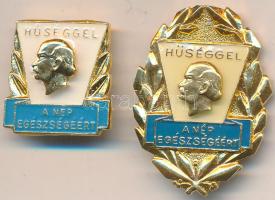 DN "Hűséggel a nép egészségéért" arany és bronz fokozat, zománcozott kitüntetések plasztik tokban T:1,2