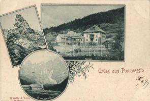 1899 Paneveggio, restaurant, hotel, Veneggia Alpe, Cimon della Pala (EM)