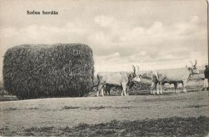 Ox, carrying hay, Hungary