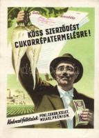 Köss szerződést cukorrépa termelésre! / advertisement of Sugar beets production