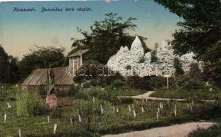 Kolozsvár, Botanikus kert / botanical garden (fl)