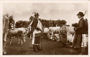 Debrecen, baromvásár, ökör, pásztor