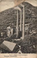 Tiszolc, Magyar királyi vasgyár, Hradová hegy, Morvay Sámuel kiadása / iron factory, mountain (EB)