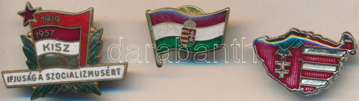 1957. "KISZ - Ifjúság a Szocializmusért" zománcozott jelvény + DN zománcozott irredenta jelvény + DN magyar zászló címerrel, zománcozott jelvény T:1-,2
