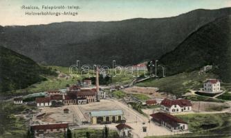 Resicabánya, Falepároló telep, kiadja Weisz Adolf / Wood distillation factory