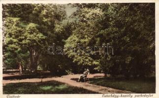 Csákvár, Esterházy kastély park (fl)