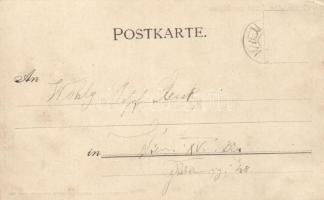 Budapest VI. Opera hold to light litho