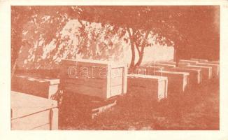 1921 Cegléd, Boczonádi méhészet; kiadja a Méhészet szerkesztősége