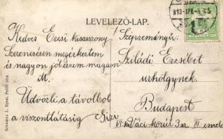 Budapest IV. Újpest, Hajóállomás