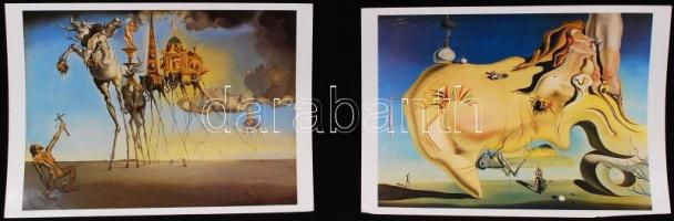Salvador dali és Picasso poszterek, nyomatok, összesen 16 db, hozzá két ismertető füzet / posters  3...