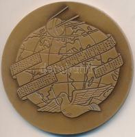 1980. "Magyar Távirati Iroda 1880-1980" Br emlékérem dísztokban (69mm) T:1-