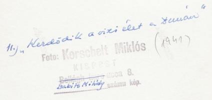 1941 Korschelt Miklós (1900-1982): Kezdődik a vízi élet a Dunán, pecséttel jelzett vintage alkotás, ...