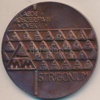1973. "Esztergom Ezer Éves - Labor Műszeripari Művek" Br emlékérem (60mm) + Kóbor Sándor 2...