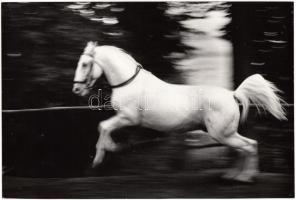 cca 1970-1980 Baricz Katalin (1948-): Kőszeg, vintage fotóművészeti alkotás, feliratozva, 16x24 cm