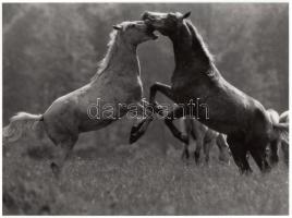 cca 1970-1980 Körtvélyesi László: Erőpróba, vintage fotóművészeti alkotás, pecséttel jelzett, 18x24 cm