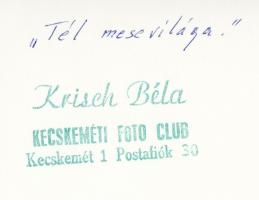 cca 1955 Krisch Béla: A tél mesevilága, pecséttel jelzett vintage fotóművészeti alkotás, 17x23,5 cm