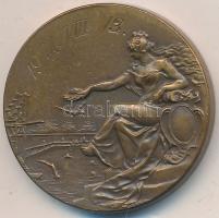 1911. "Az Óbudai Tornaegylet versenydíja - Erő, épség, egyetértés 1872" Br díjérem dísztokban T:2
