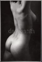 cca 1970 Tóth László: Műtermi akt, vintage fotóművészeti alkotás, pecséttel jelzett, 23x16 cm / cca 1970 László Tóth: Nude photo, 23x16 cm