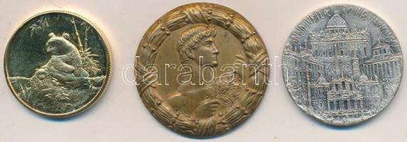 DN Br díjérem. Szign.: Ludvig (38mm) + Kína DN "Panda" aranyozott Br emlékérem (30mm) + Olaszország 1975. "Róma Anno" ezüstözött Br emlékérem (34mm) T:PP,2