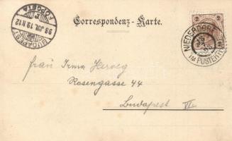 AUSZTRIA - 12 db hosszú címzéses városképes lap / 12 Austrian postcards from the turn of the 20th ce...