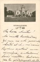 Pettend, Luczenbacher-kastély (EB)